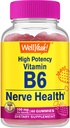 WellYeah 높은 효능 비타민 B6 Gummies - Nerve Health, Cognitive Function, Mood Regulation, 면역 지원 및 심혈관 건강 증진 - Vegan, Non-GMO, 글루텐 - 무료 60 개