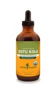 Herb Pharm은 Musculoskeletal 시스템 지원을위한 유기 Gotu Kola 액체 추출 - 4 Ounce