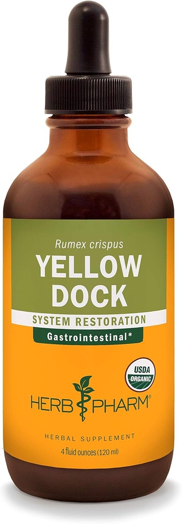소화 시스템 지원을위한 허브 Pharm Yellow Dock 액체 추출 - 4 Ounce