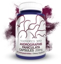 Andrographis paniculata 캡슐 | 200mg | 60 카운트 | 50 % Andrographolides | 지원 면역 기능 | 세포 기능 지원