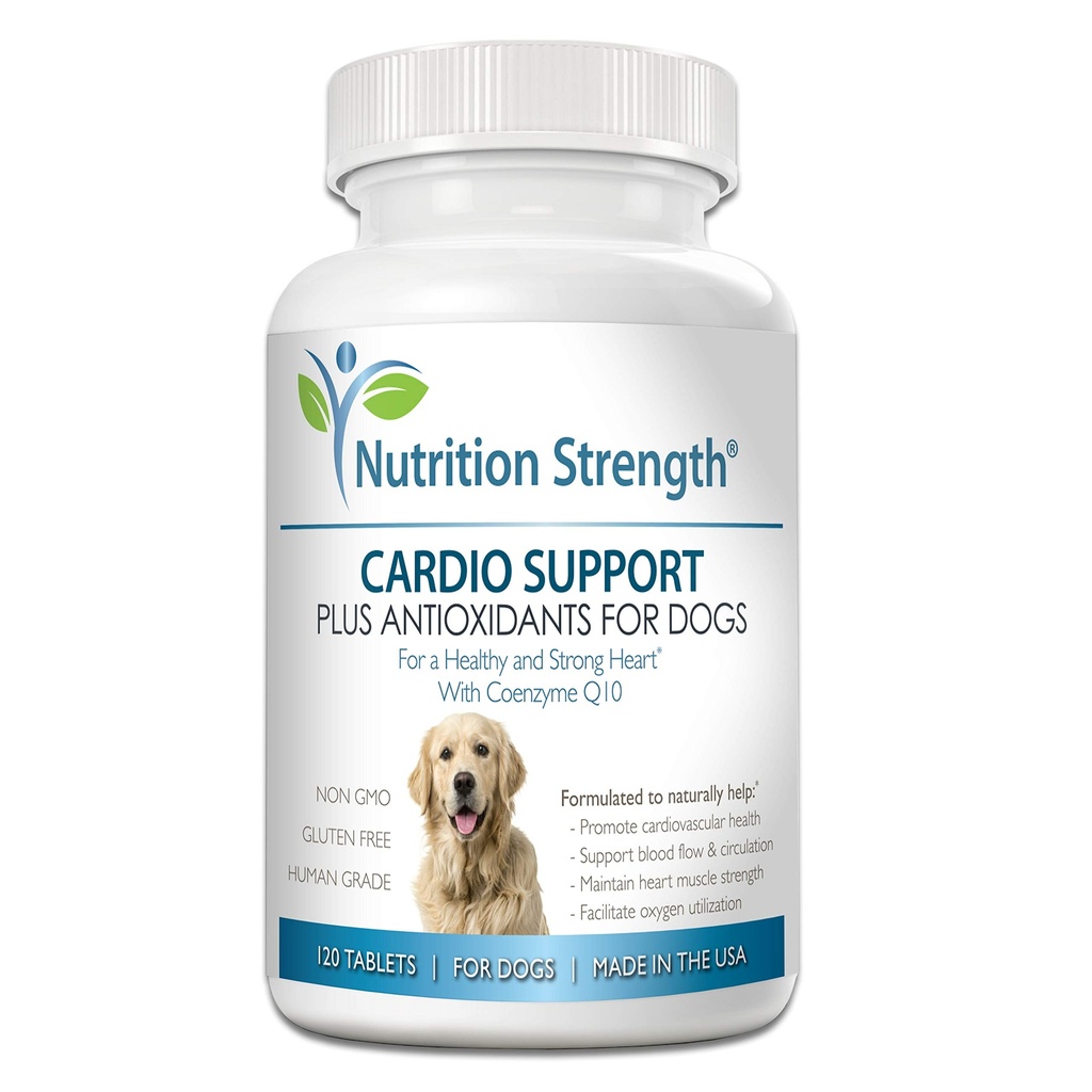 Coenzyme Q10와 비타민 E와 더불어 항산화제, L 카르니틴, L-Taurine를 위한 Cardio 지원은, 건강하고 강한 개 심장, 120 Chewable 정제를 승진시킵니다