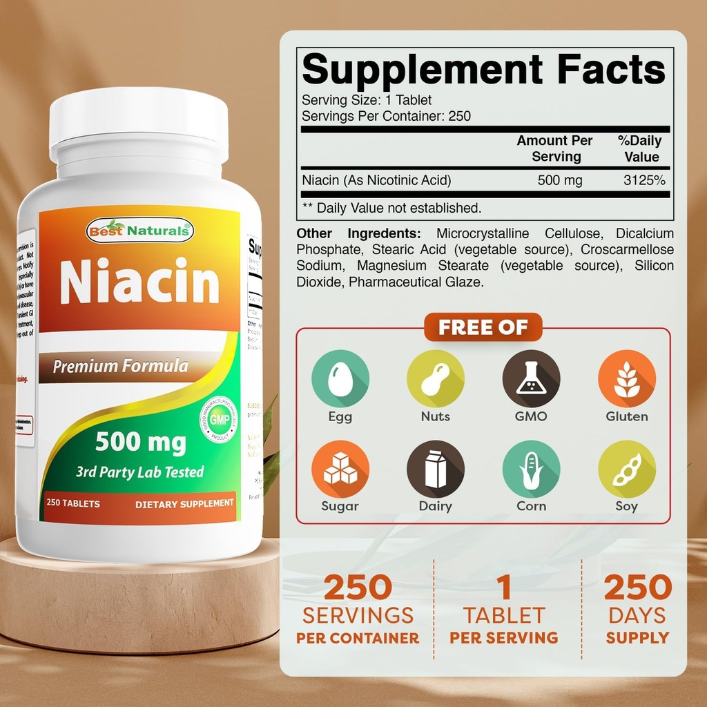 최고의 자연 Niacin 500mg 250 타블렛 - 또한 호출 비타민 B3 (250 개)