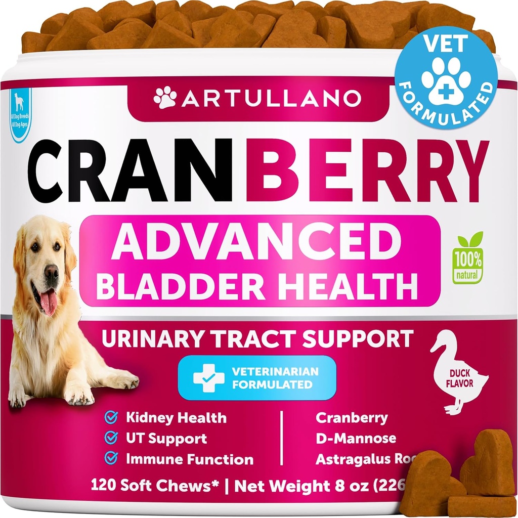 개 UTI 치료 - 개를위한 크랜베리 보충 및 방광 제어 - Urinary Tract Infection Incontinence Pill, Bladder Stones - UTI Medicine Treats - 물고기 기름과 Kidney Support 용 120 Soft Chews