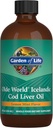 생명의 정원 Olde 세계 아이슬란드어 Cod Liver 오일 액체 - 레몬 민트 맛 - 1,000mg 오메가 3 생선 기름, 지방산, EPA, DHA, 비타민 D & A, 심장 건강을위한 CLO 보충제, 47 서빙