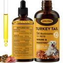 개를위한 터키 꼬리 버섯 - 빠른 흡수 2000mg 터키 꼬리 버섯 Immune & Digestive, 공동, 에너지, 5X Mushrooms for Pet Drop with Turmeric & Probiotic - Vet Formulated, 90 ML / 3FL.oz