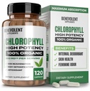 Benevolent Chlorophyll 캡슐 350mg - 에너지 부스트, 면역 지원, 내부 탈취제, 피부 건강, 비 GMO, 120 캡슐에 대한 100 % 천연 + Ultra Chlorophyll 20x 효능 농도