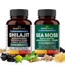 Shilajit Sea Moss Ashwagandha 콤보 번들 - 검은 씨앗 기름, 심황, Rhodiola Rosea, Panax, Ginseng Supplement | 120 캡슐, Gummies보다 더 나은, 수지 | 남자와 여자를위한 Seamos