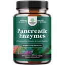 Pancreatin 소화 효소 Gut 건강에 대한 소화 - 여성을위한 Pancreatic 소화 효소 & Protease, Lipase & Amylase - Bloating, Stomach Health, Fat, Carb & Protein - 60 조사