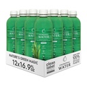 Chlorophyll Water – 액체 클로로필 12-Pack (16.9oz) | 비타민 A, B12, C, D | Detox Cleanse, 알칼리성 물, 에너지 부스트 | 비타민 물 | 식물 기반 | 깨끗한 라벨 프로젝트 | 히드라이즈 지원