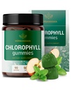HERBAMAMA Chlorophyll Detox Gummies - 몸 냄새 지원을 위한 50mg 나트륨 구리 Chlorophyllin 내부 탈취제 - Vegan, 비 GMO 산화제 보충교재 - 90 Pectin 근거한 Apple-Flavored Chews