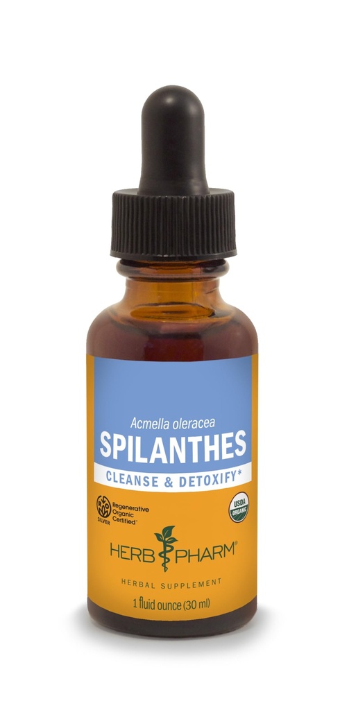 허브 Pharm은 정화 및 해독을위한 유기 Spilanthes 액체 추출물 - 1 Ounce