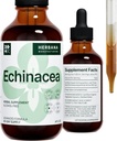 Echinacea 4 fl oz 액체 추출물 - 유기 뿌리, 잎, 꽃, 씨 - 자연적인 초본 보충교재 - 몸, 면역 체계 지원 Tecoture - 높은 힘 하락 - 90 일 공급 - 가족 크기