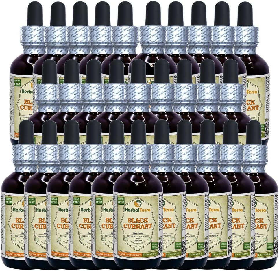 블랙 커런트 (Ribes nigrum) Tincture, 건조 정제 액체 추출 (브랜드 이름: HerbalTerra, Proudly Made in USA) 30x2 fl.oz (30x60 ml)