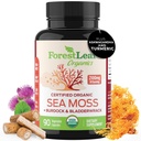 ForestLeaf Organic Irish Sea Moss Capsules | 2100mg Raw Seamoss Pills Advanced Supplement Superfood + Burdock, 소화, 호흡기, 면역 건강을위한 Bladderwrack | 90 Vegan Organic Sea Moss Cap