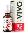 Vivo Life - 비타민 B12 복합 단지, 높은 효능 건강 보충, 오렌지 맛 액체 드롭, 60ml, 60 서빙