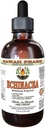 Echinacea 알콜 자유로운 액체 추출물, 유기 Echinacea (Echinacea Purpurea)에 의하여 말린 허브 Glycerite 하와이 Pharm 자연적인 초본 보충교재 4개 oz