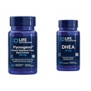 DHEA 호르몬 균형 - 60의 캡슐 Pycnogenol & 100의 캡슐 DHEA 25mg를 가진 수명 연장 프랑스 해상 소나무 껍질 추출물