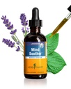 허브 Pharm Anxiety Soother 액체 허브 포뮬러 Kava Extract 및 Lavender Essential Oil for Mild 및 Occasional Anxiety Support* - 2 Ounce