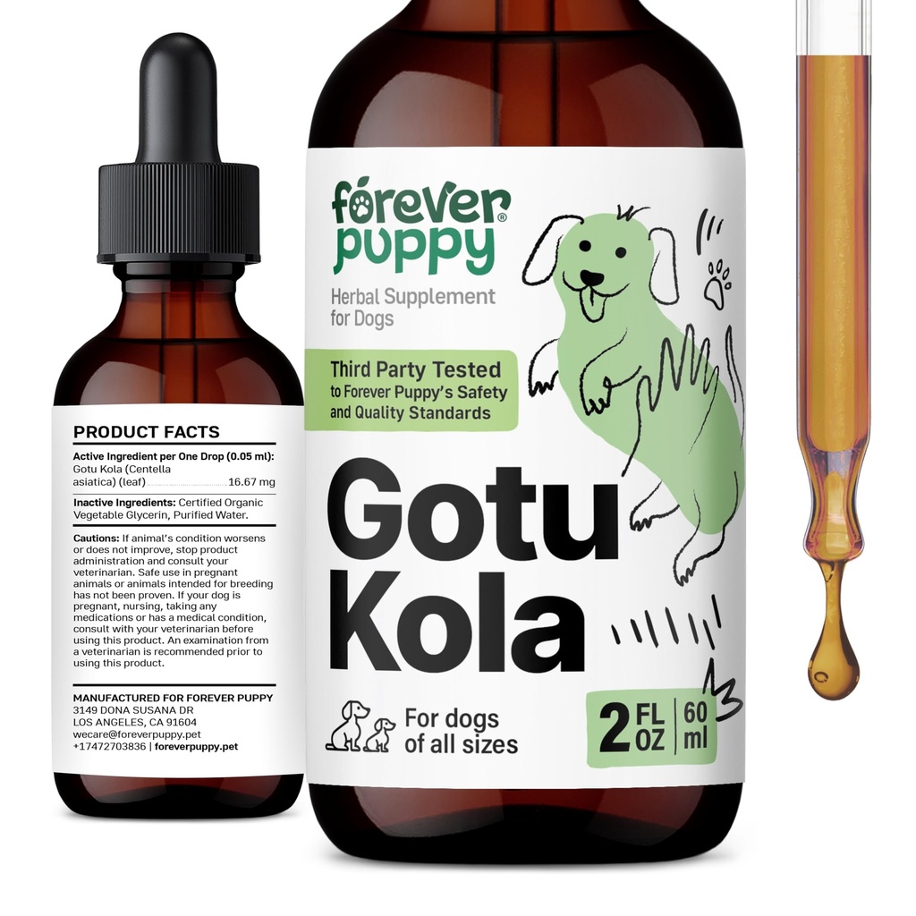 개를위한 영원히 강아지 Gotu Kola 드롭 - Centella Asiatica & Gotu Kola는 두뇌 건강 지원을위한 추출물 - 모든 품종 및 크기의 개를위한 액체 두뇌 보충 - 2 oz