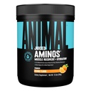동물 주스 아미노산 - BCAA 분말 EAA 모체 플러스 Electrolytes와 바다 소금 언제나 회복과 개량한 성과, 주황색 풍미, 30의 서빙을 가진 Hydration