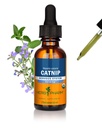 허브 Pharm 인증 유기 Catnip 액체 추출 물 Calming 신경 시스템 지원, 1 Fl Oz