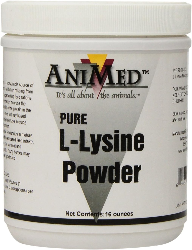 말을위한 AniMed L-Lysine, 16-Ounce