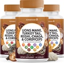 사자 Mane 버섯 보충 터키 꼬리 Reishi Cordyceps Chaga Marshmallow 뿌리 - 180 조사