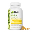 Jiva Botanicals Amla 캡슐 (아말라키) - 60 Vegan 캡슐 - Amla 파우더 - 인도 Gooseberry 보충