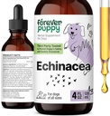 개를위한 영원히 강아지 Echinacea 드롭 - 면역 지원 및 호흡 건강 w / Echinacea 허브 추출물 - 모든 품종 및 크기의 개를위한 액체 면역 지원 보충교재 - 4 oz