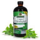 자연의 답변 액체 클로로필, 100 mg, 16 fl oz (480 ml)
