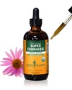 허브 Pharm은 활성 면역 시스템 지원을위한 유기 슈퍼 Echinacea 액체 추출 - 4 Oz