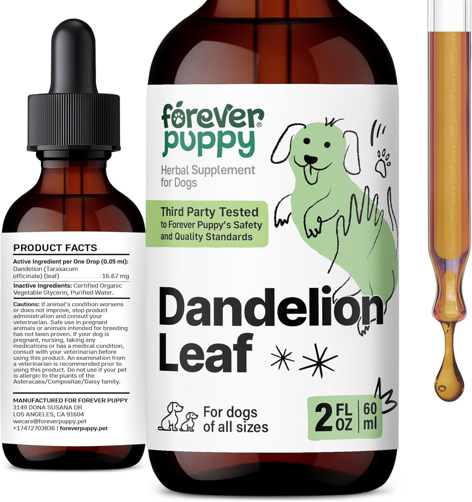 개를위한 영원히 Puppy Dandelion 리프 드롭 - 큰, 중간 및 작은 개를위한 Kidney 건강 액체 보충 - Kidney Cleanse Detox Drops w/Dandelion Leaves Tincture - 2 oz