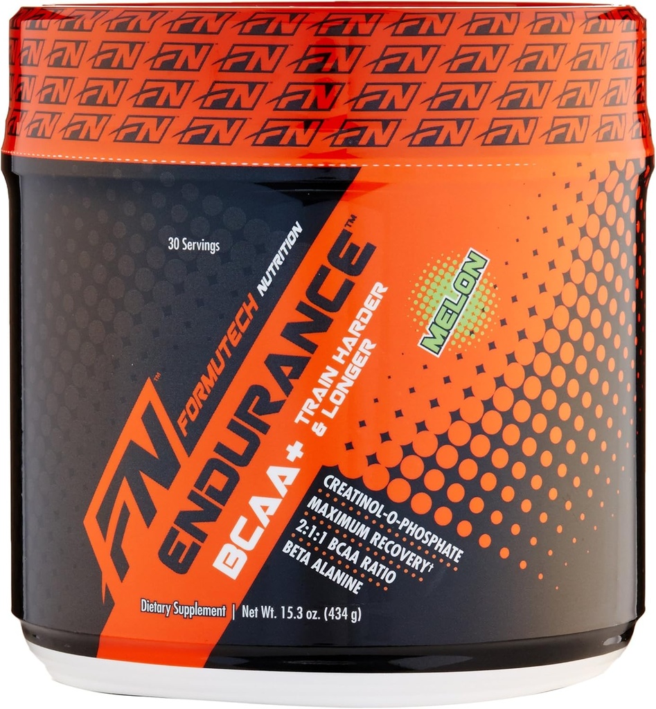 Endurance BCAA 플러스, Beta Alanine, 멜론, 434 그램을 가진 훈련 더 열심히 그리고 더 긴을 위해 디자인해