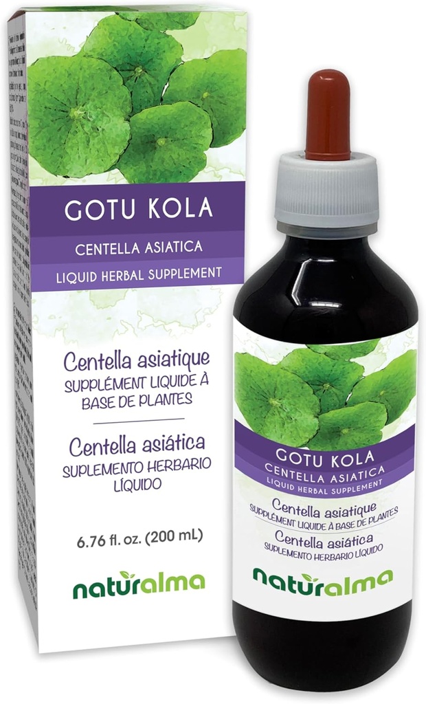 Naturalma Gotu kola (Centella asiatica) 허브 알코올 - 무료 Tincture - 6.76 fl oz 액체 추출물 드롭 - 초본 보충 - Vegan