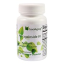 금기 최고 흡수 Astragaloside IV 98% 50mg 30의 캡슐 노화 방지 DNA 세포 Telomere Astragalus 뿌리 보충교재