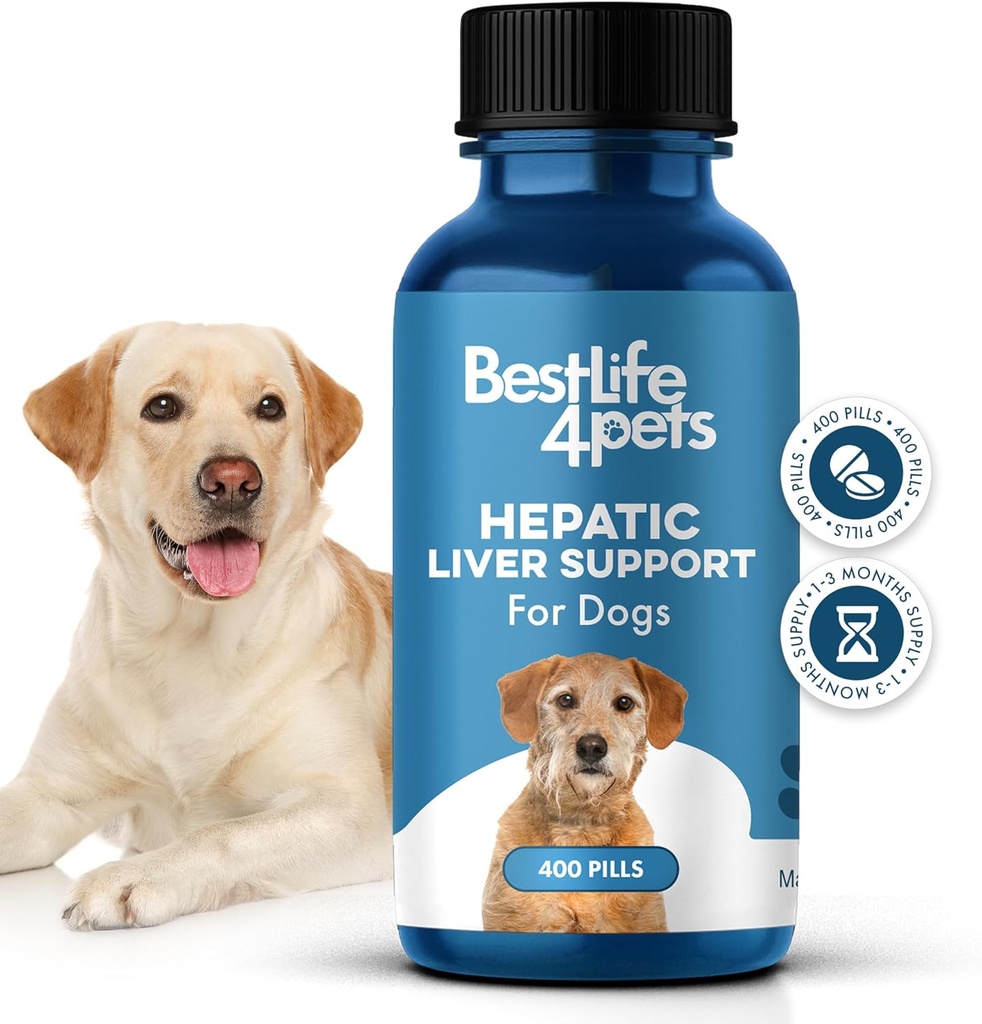 Dogs, Dissolvable Homeopathic Digestive Canine Supplement for Liver Detox and Nutrient Absorption, 100 % 모든 자연, 쉽게 제공, 화학 물질 또는 첨가제, 400 알약의 무료