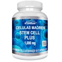 Celulas Madres 60 캡슐 Vitamisan 1000 mg Aphanizomenon Flos-aquae 블루 그린 조류 AFA 줄기 천연 세포