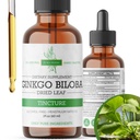 Ginkgo Biloba 추출물 액체 2 Fl Oz, 뇌 기능 및 메모리 지원, 알코올 무료, Vegan - 2 Fl Oz에 대한 보충제