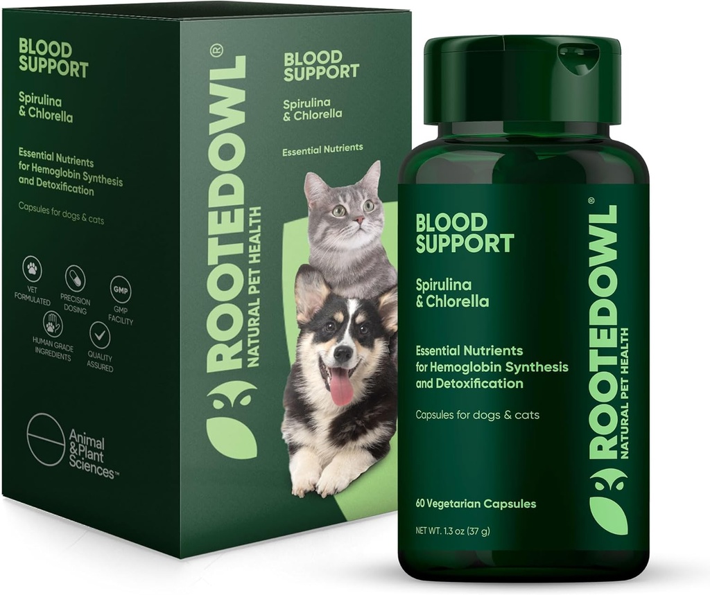 Rooted Owl Blood Support - Dogs & Cats를위한 면역력, 회복 및 철 보충 - Spirulina 및 Chlorella와 함께 빈혈 지원 - 60 / ct Vegan 캡슐
