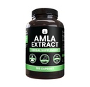 PURE ORIGINAL INGREDIENTS Amla 추출물 (365 캡슐) 마그네슘 또는 쌀 필러 없음, 항상 순수, 실험실 검증
