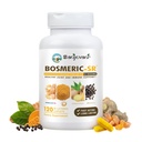 합동 Immune 지원 보충교재, 까만 고추, Boswellia PS 추출물 & Ginger를 가진 특허가 주어진 혼합 심황 Curcumin C3 Complex, 20 분, 8 시간 지속된 방출, 120의 모자 - Sanjevani