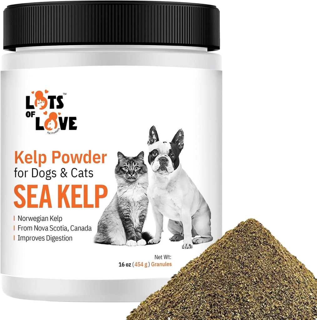개 및 고양이 용 Kelp 분말 - 유기 바다 Kelp 보충 과립 분말 (16 Oz, 1 파운드)