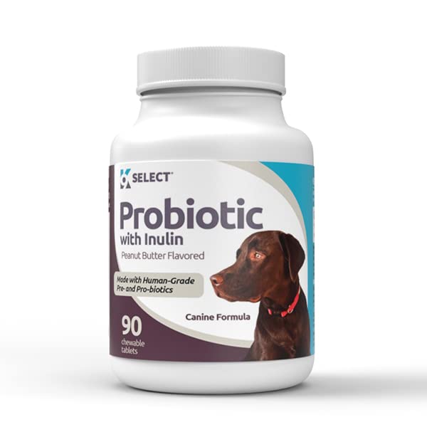 K9 Inulin - 90 Chewable Tablets - 건강한 소화 및 영양 흡수 지원 - Dog Probiotics 및 Digestive Enzymes - 개 소화 건강을위한 Probiotics