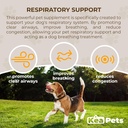 Doggie Condiments 애완 동물 호흡 지원 Optimal 개 호흡, 명확한 Sinuses, 기침, Sneezing 및 Congestion Relief for Dogs를 위한 자연적인 개 보충교재