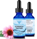 Absonutrix Echinacea Tincture 고급 공식 390 mg, 4 Oz 액체, 302 서빙, 미국에서 만든, 빠른 흡수, 품질 Potent 재료, 비 GMO, GMP 인증 시설, Cruelty-Free 제품