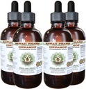 Cinnamon 알콜 자유로운 액체 추출물, Cinnamon (Cinnamomum Verum)에 의하여 말린 Bark Glycerite 하와이 Pharm 자연적인 초본 보충교재 4x4 oz