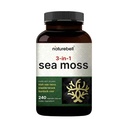 아일랜드어 Sea Moss 캡슐, 서빙 당 3,000mg, 240 Veggie 알약 | 유기 원료 분말로 만든, 플러스 Bladderwrack & Burdock 뿌리, 바다 야채 단지 – 면역 & Thyroid Superfood 지원 – Non-GMO