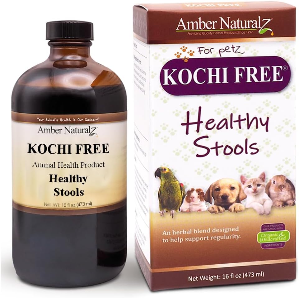 Amber NaturalZ Kochi Free Herbal Supplement for Dogs, Cats, Birds, Rabbits 및 기니 Pigs | 건강한 Bowel 기능 지원 | Digestive Balance에 대한 자연 보조 | 16 유체 Ounce Glass Bottle