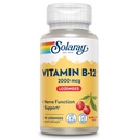 SOLARAY 비타민 B12 2000 mcg Lozenges - 설탕 없음, 자연 체리 맛 비타민 B 12 Nerve 기능, 에너지 및 붉은 혈액 세포 지원을위한 보충 - 실험실 검증, 채식 - 90 서빙, 90 Lozenges