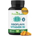 ForestLeaf 비타민 B2 Riboflavin 400mg - 에너지, 피부 및 세포질 건강 보충교재 - 신경 체계 지원 - 비타민 B 2 VIT B - 비 GMO & 글루텐 자유로운 - B2 비타민 400mg 야채 캡슐, 90 조사